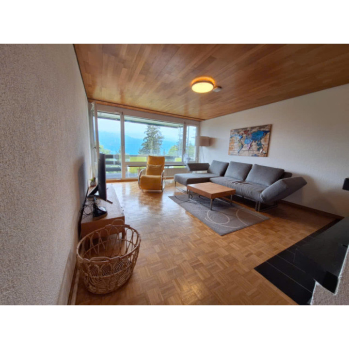 Schmockenstrasse 133